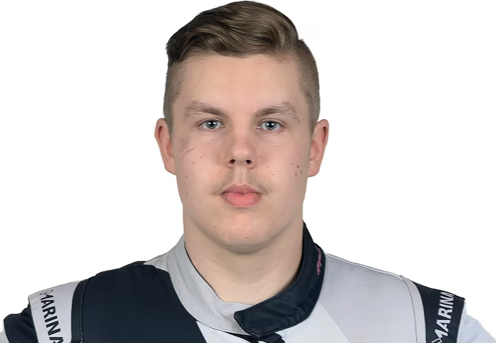 Vatanen Ville